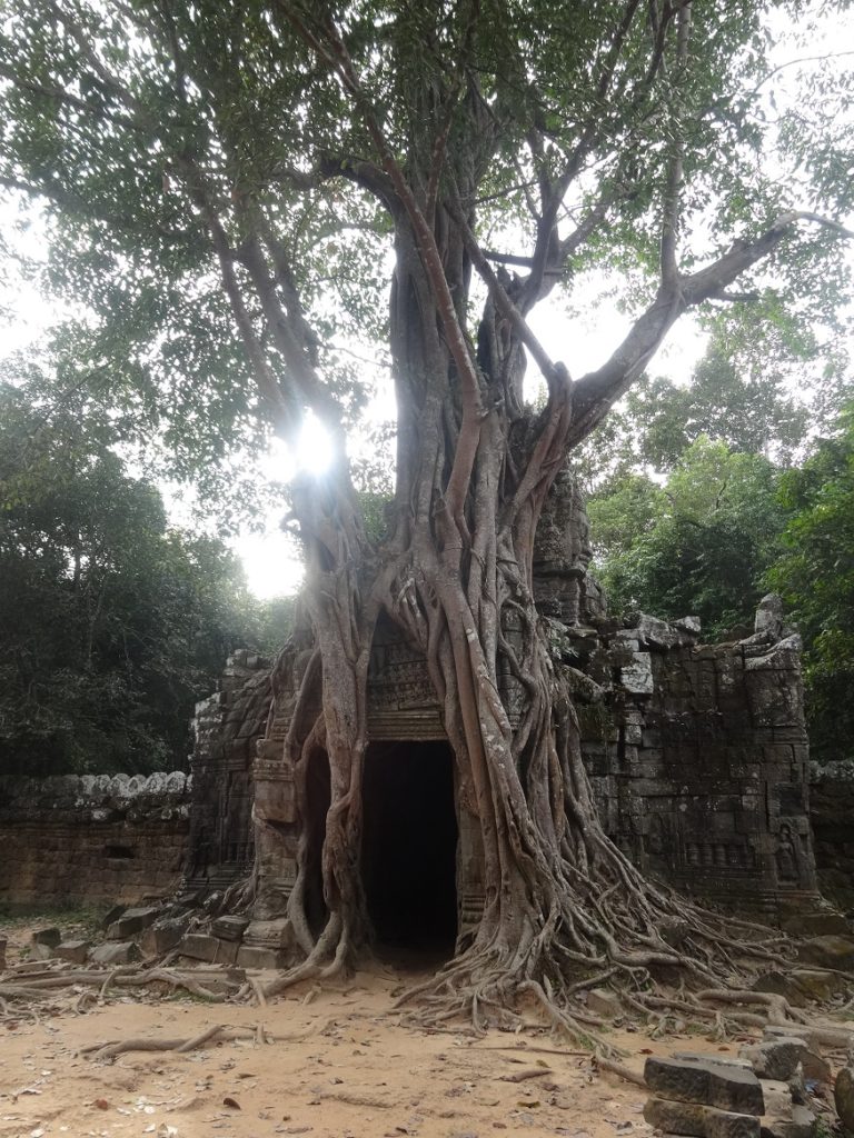 Aus gegebenem Anlass: Ta Som im Angkor Wat Archeological Park