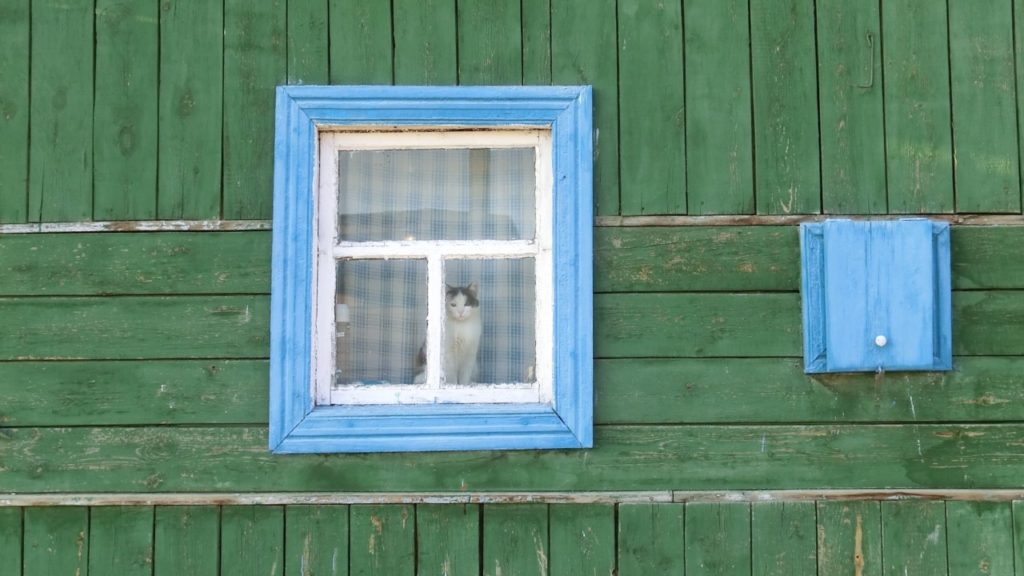 Im heutigen Fensterchen findet ihr eine Katze. ;-) Khuzhir/Baikalsee, Russland